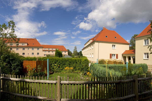Kohlrabiinsel Radeberg